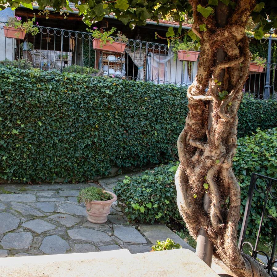 B&B Villa Moro - Family House Domodossola Eksteriør billede