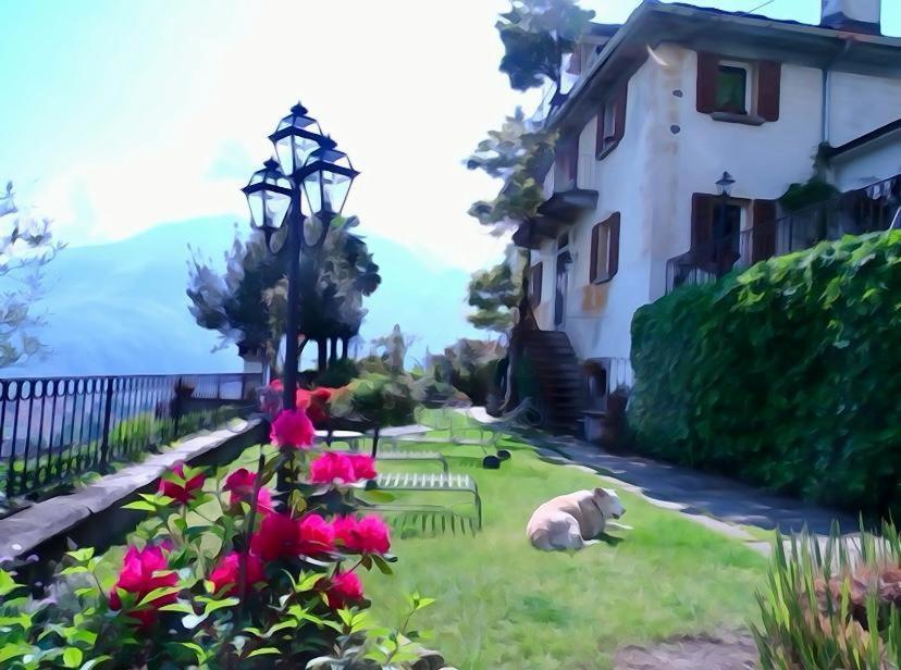 B&B Villa Moro - Family House Domodossola Eksteriør billede